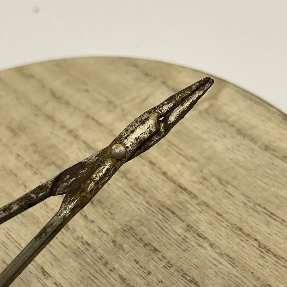 VTG Atq Hemostat Clipper 5” Rusted Tarnished Prop Display